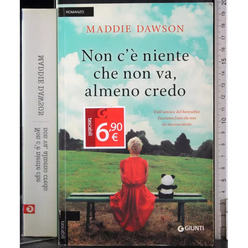 Non c'è niente che non va, almeno credo