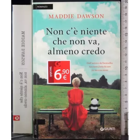 Non c'è niente che non va, almeno credo
