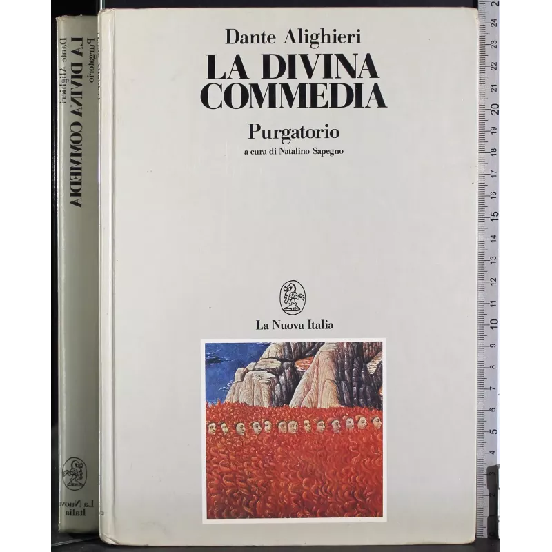 La divina commedia. Purgatorio