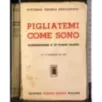 Pigliatemi come sono