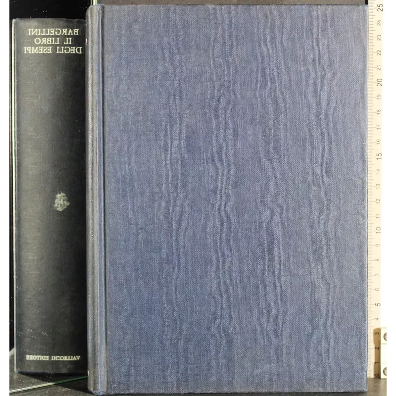 Il libro degli esempi