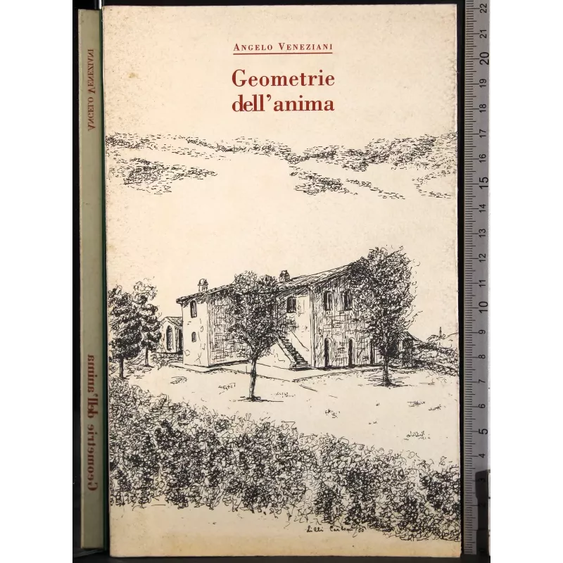 Geometria dell'anima