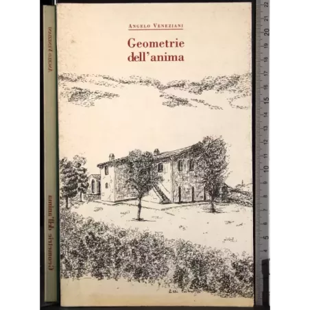 Geometria dell'anima