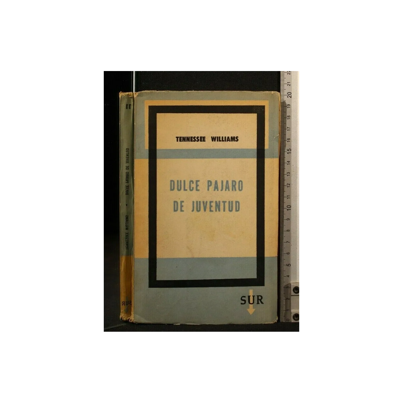 DULCE PAJARO DE JUVENTUD