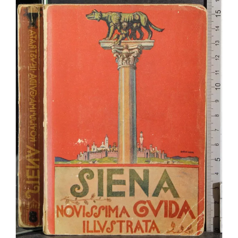Siena. Nuovissima guida