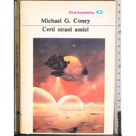 Certi strani amici