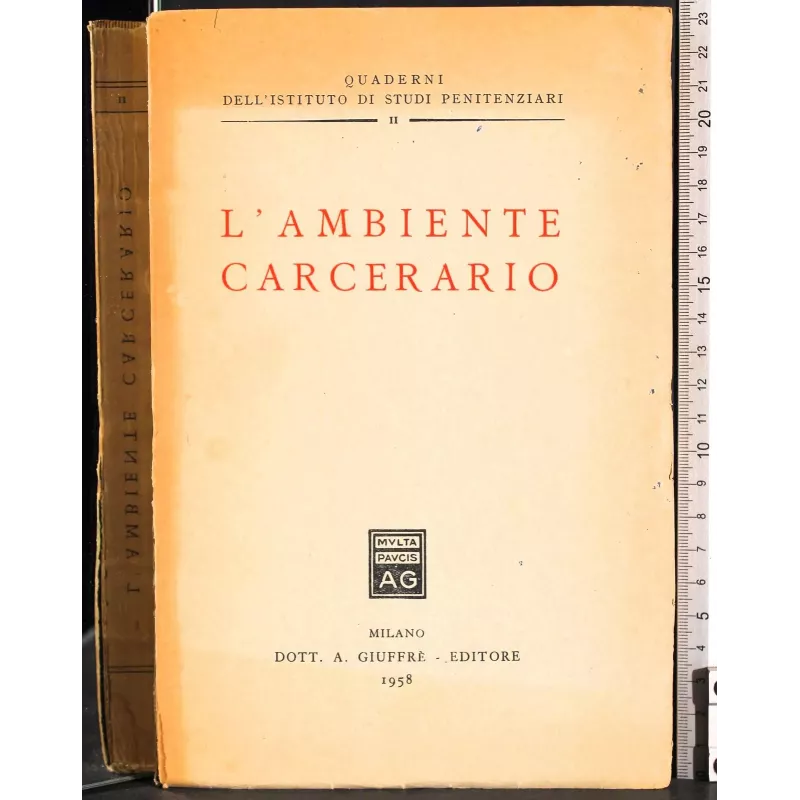 L'Ambiente carcerario