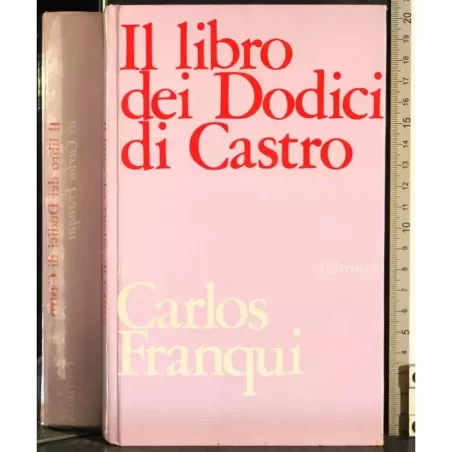 Il libro dei Dodici di castro
