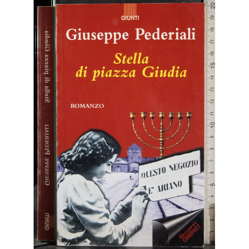 Stella di piazza Gudia