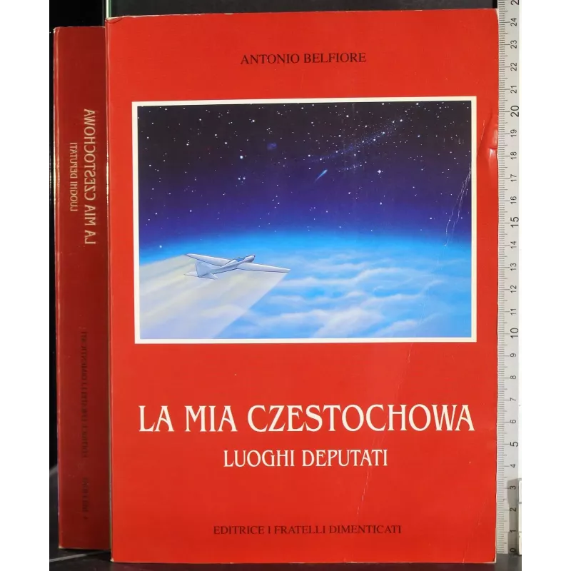 Le mie czestochowa