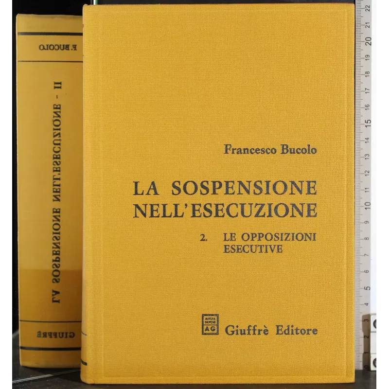 La sospensione nell'esecuzione. 2 Le opposizioni esecutive