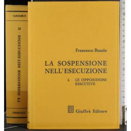 La sospensione nell'esecuzione. 2 Le opposizioni esecutive
