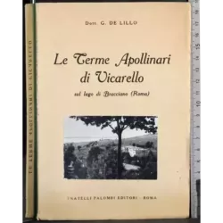Le terme apollinari di Vicarello