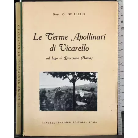Le terme apollinari di Vicarello