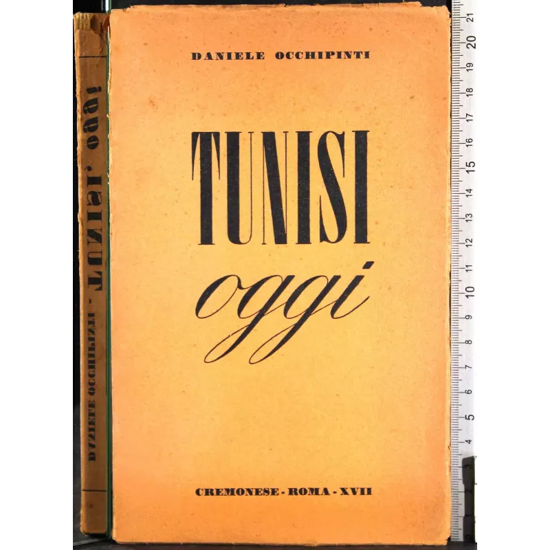 Tunisi oggi