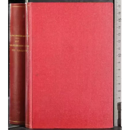 La resurrezione degli Dei. Vol 2
