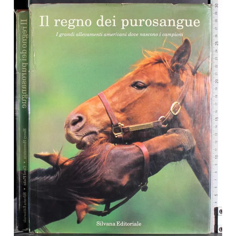 Il regno dei purosangue