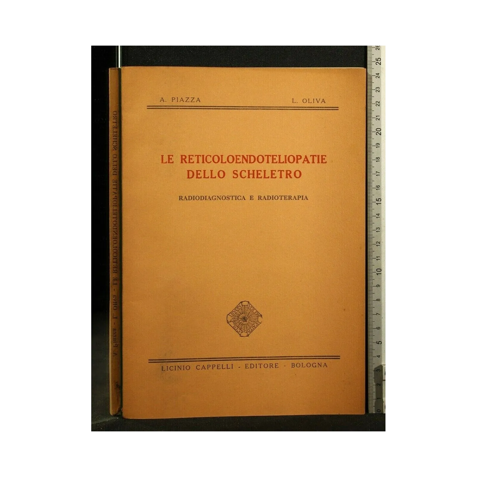 LE RETICOLOENDOTELIOPATIE DELLO SCHELETRO