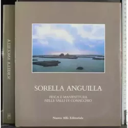 Sorella Anguilla