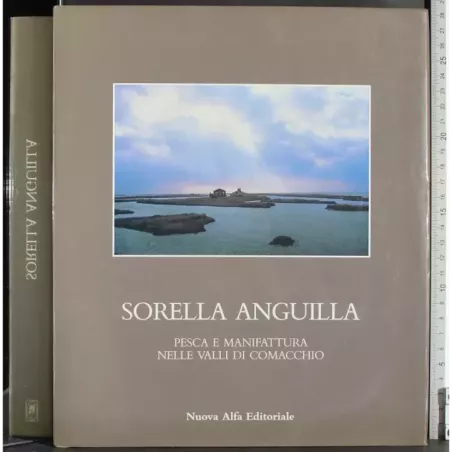 Sorella Anguilla