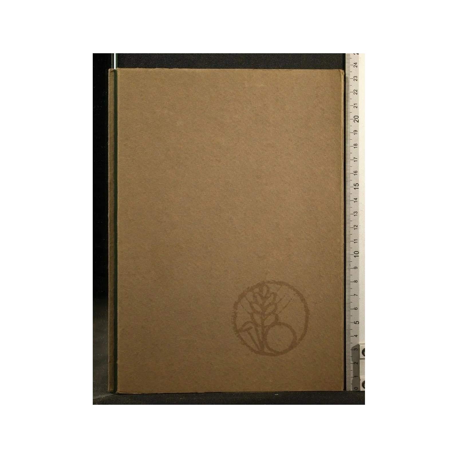 DELLA CRUSCA: SUE POSSIBILITA', SUOI LIMITI