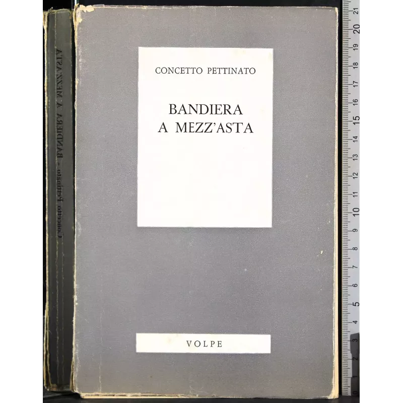 Bandiera a mezz'asta