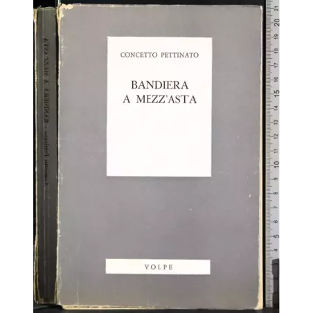 Bandiera a mezz'asta