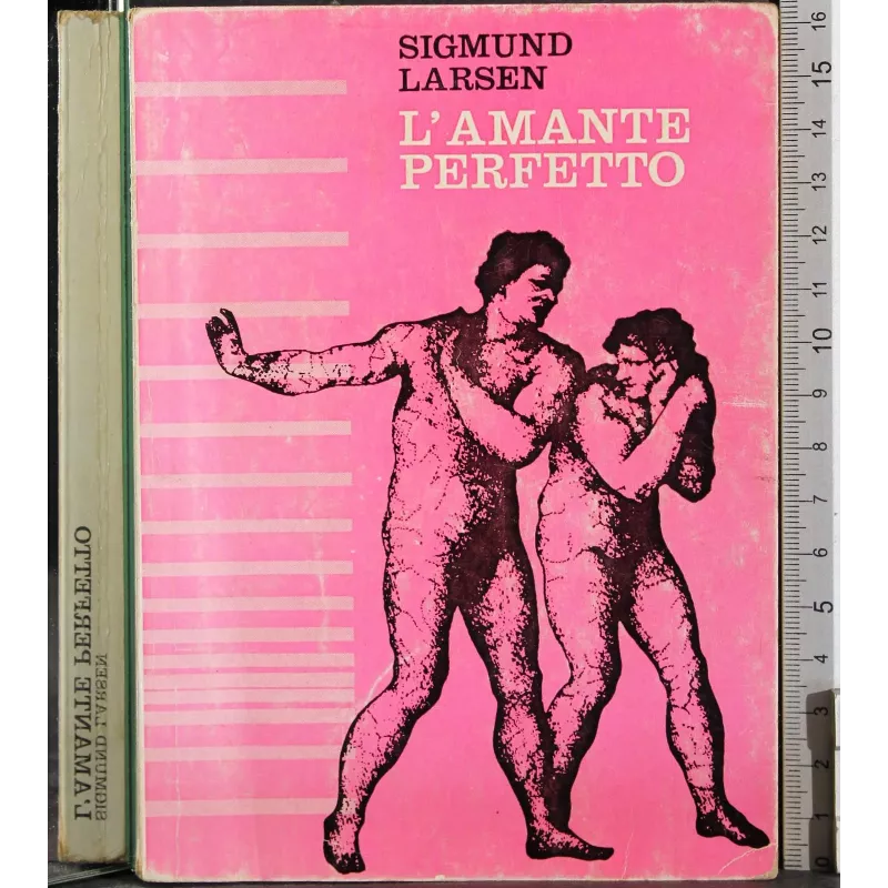 L'amante perfetto