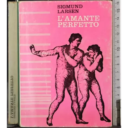 L'amante perfetto