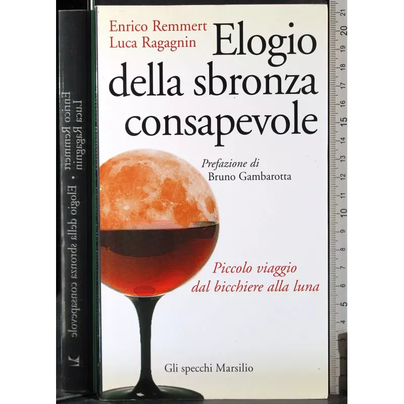 Elogio della sbronza consapevole