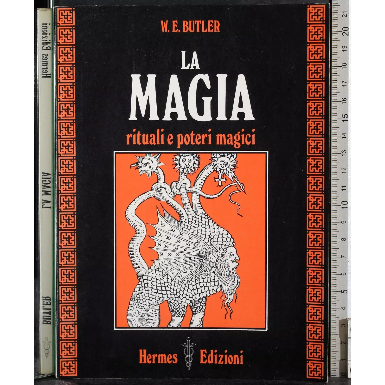 La magia. Rituali e poetri magici