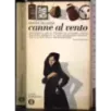 Canne al vento