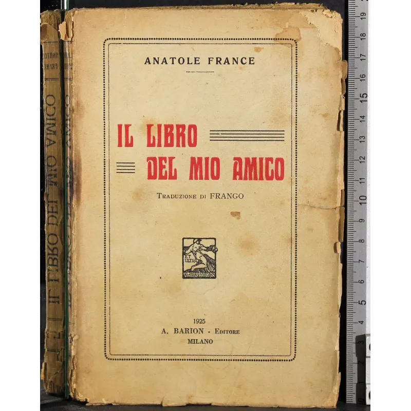 Il libro del mio amico