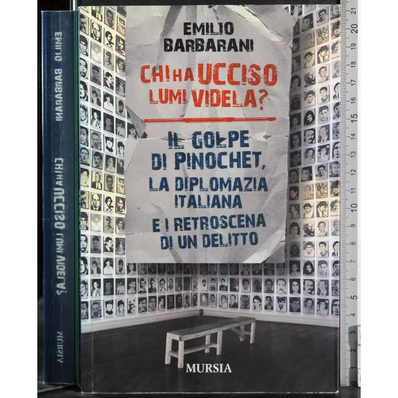 Chia ha ucciso Lumi Videla?