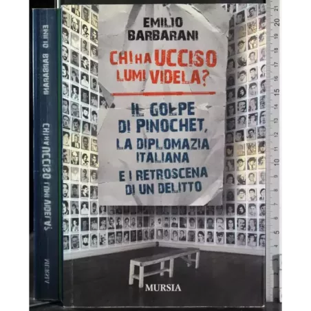 Chia ha ucciso Lumi Videla?