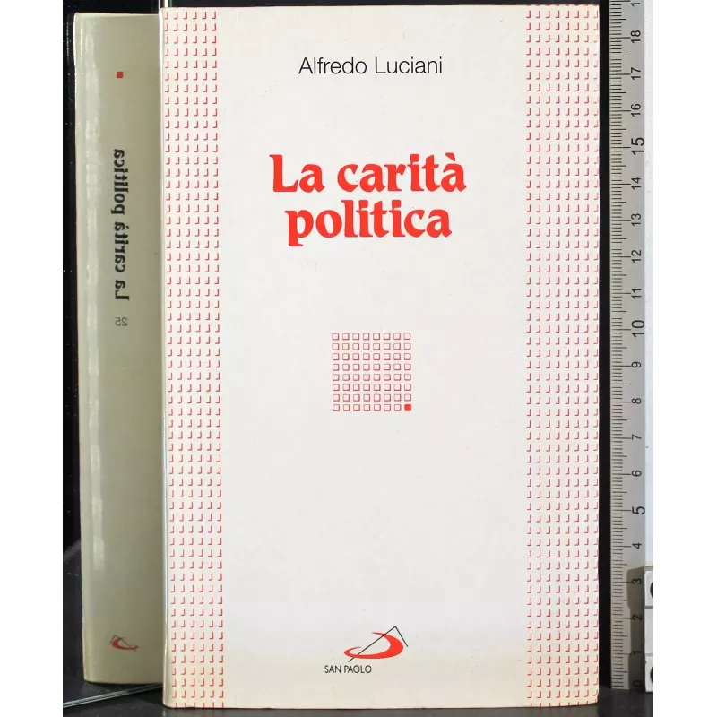 La carità politica