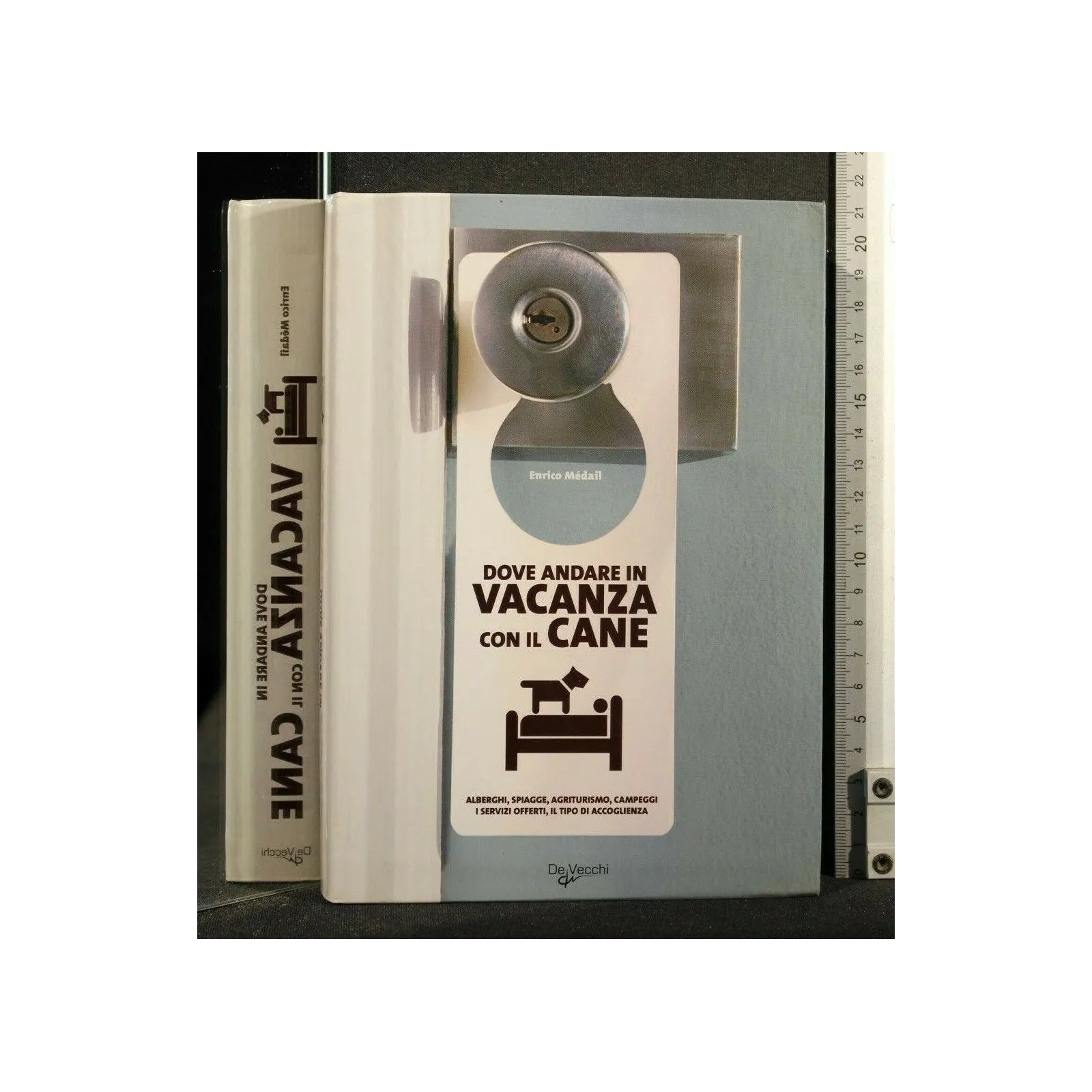 DOVE ANDARE IN VACANZA CON IL CANE