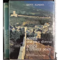 Assisi una pace diversa. Assisi a different peace