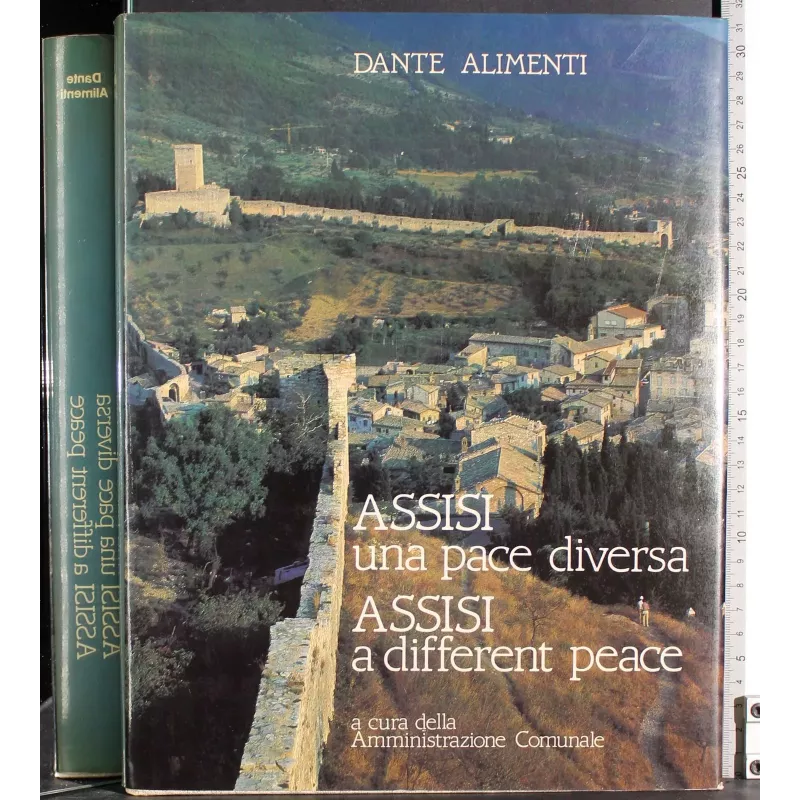 Assisi una pace diversa. Assisi a different peace