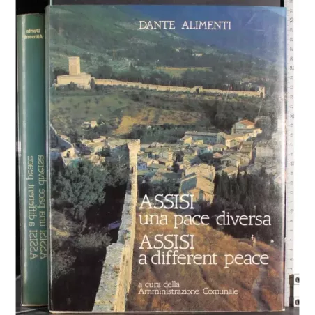 Assisi una pace diversa. Assisi a different peace