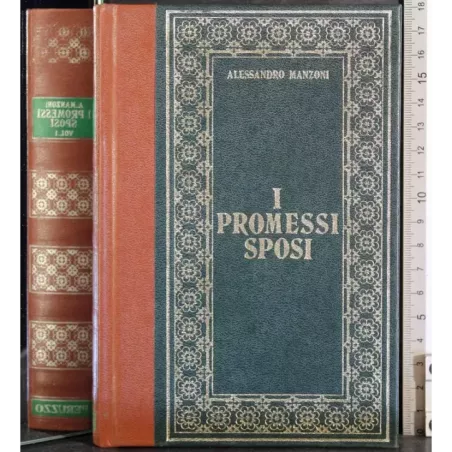 I Promessi sposi. Vol 1