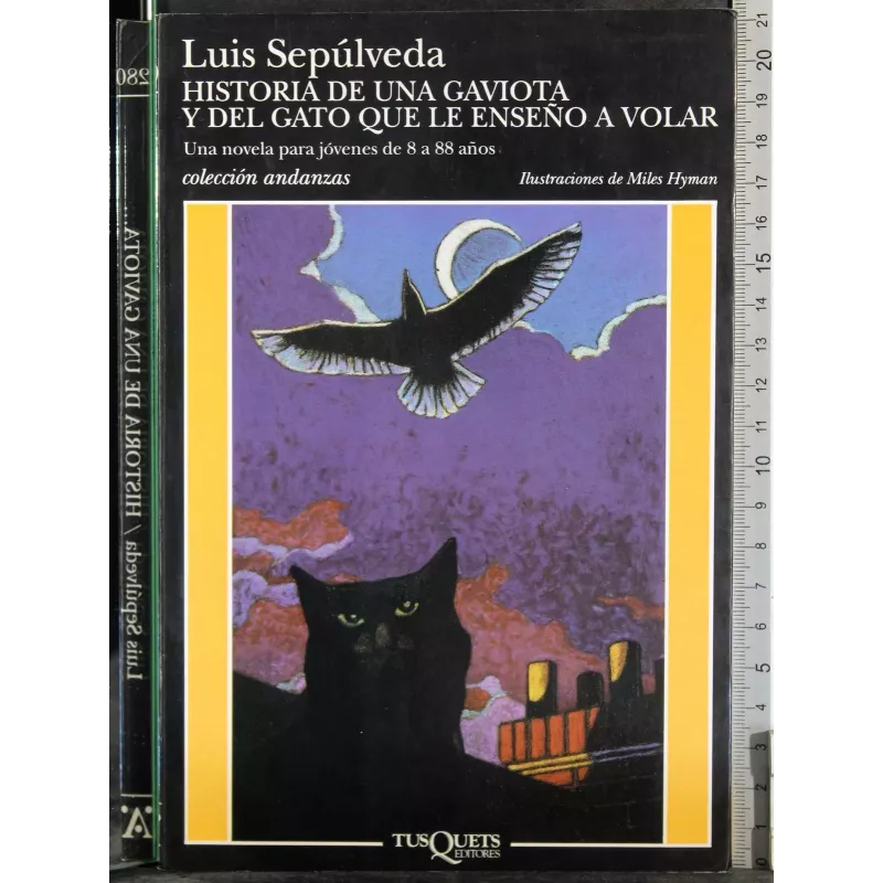 Historia de una gaviota y del gato que le enseno a volar