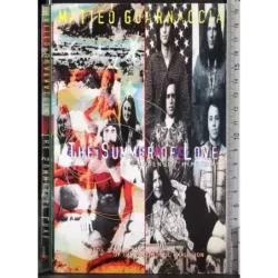 The summer of love