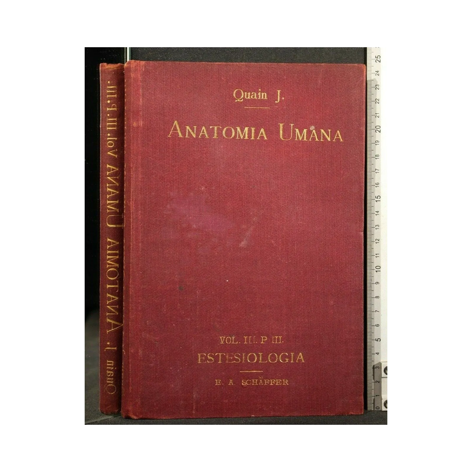 ANATOMIA UMANA VOLUME III PARTE III ESTESIOLOGIA