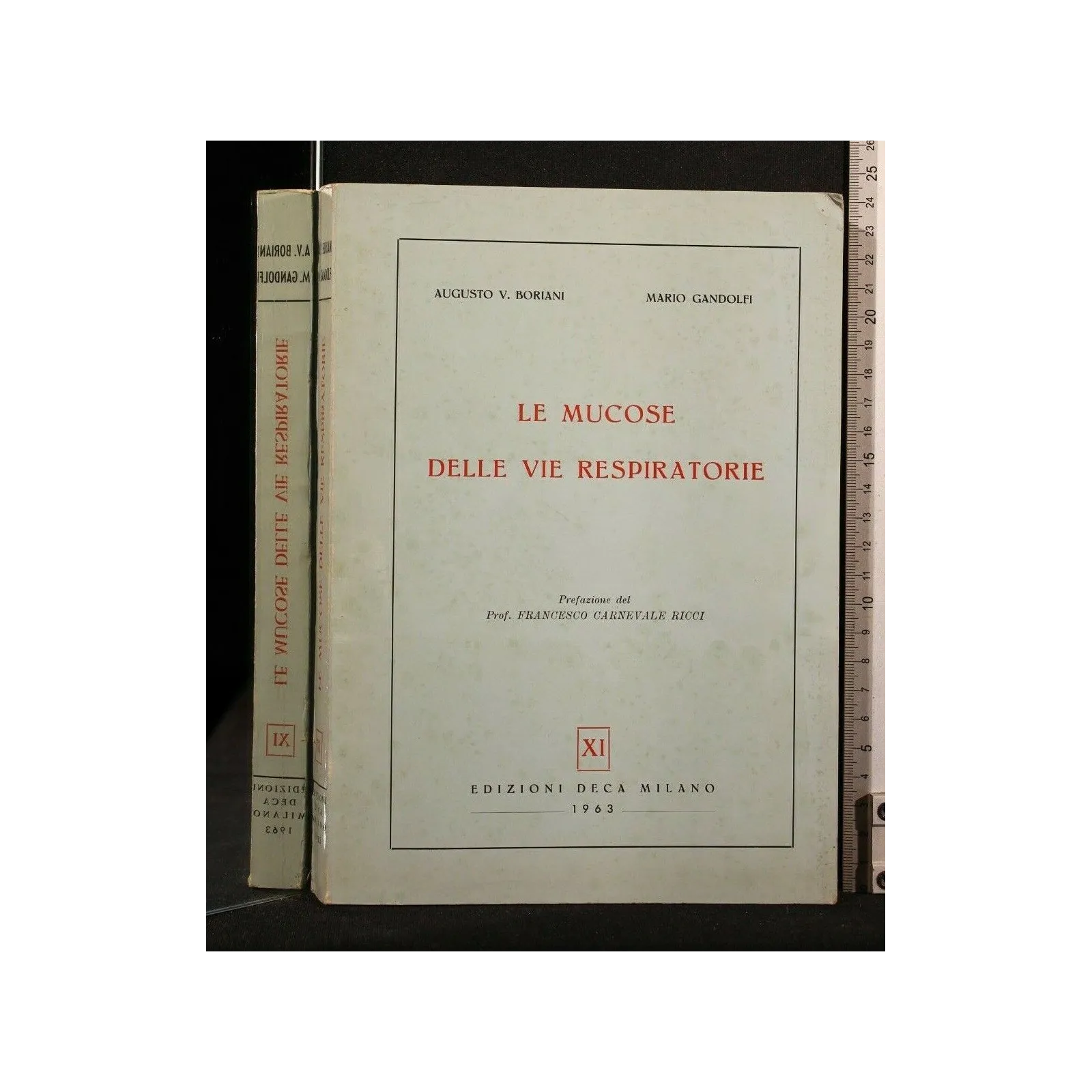 LE MUCOSE DELLE VIE RESPIRATORIE