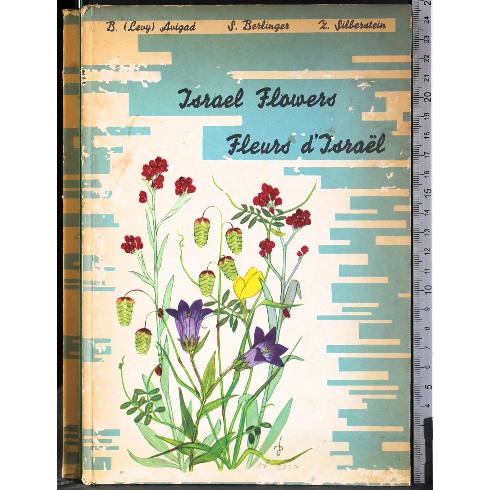 Israel Flowers. Fleurs d'Israel