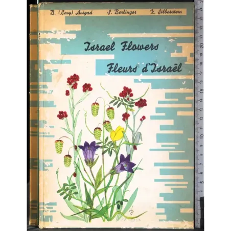 Israel Flowers. Fleurs d'Israel