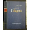 LE MALATTIE DEL COLLAGENO