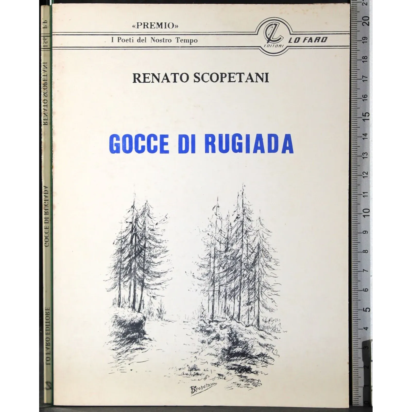 Gocce di rugiada