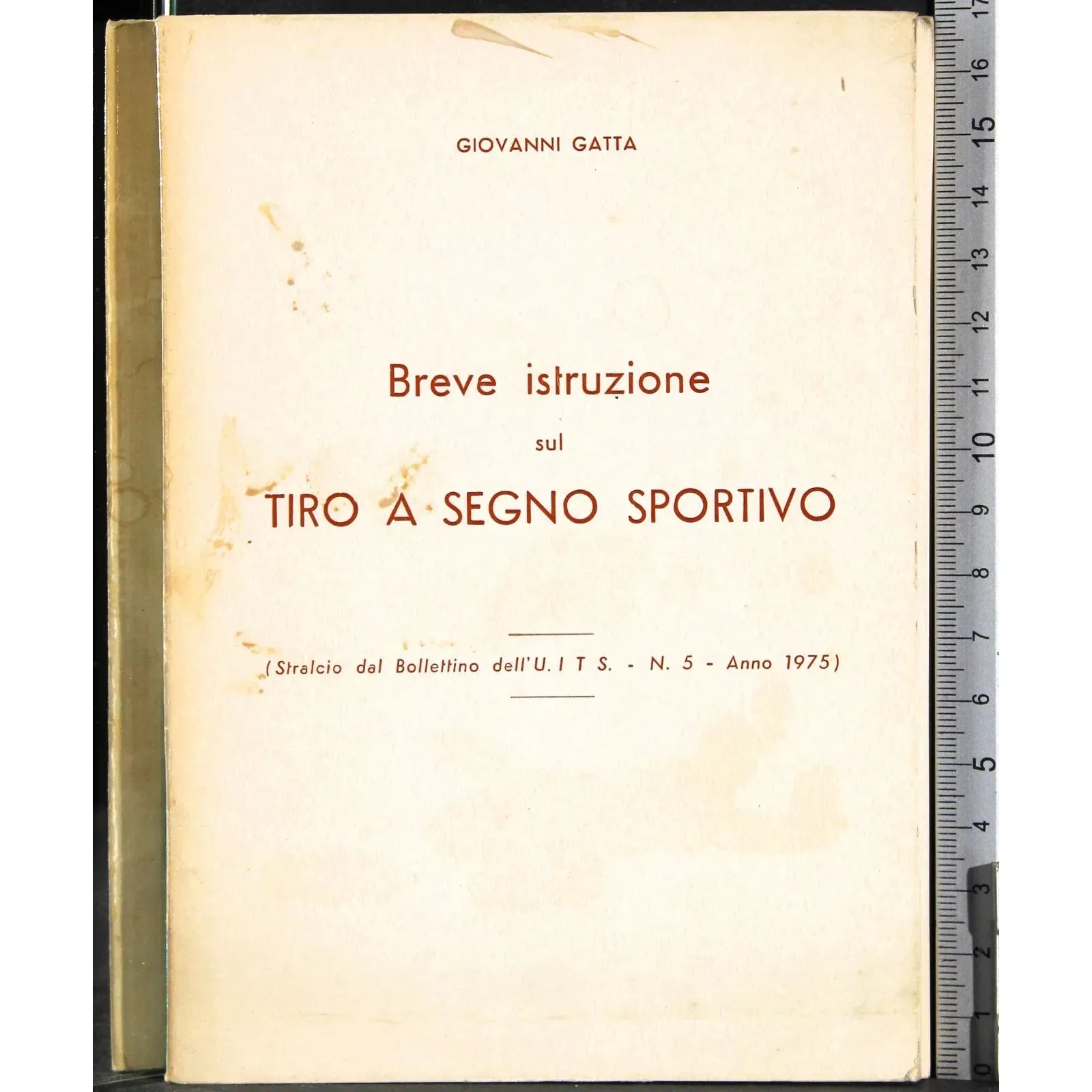 Breve istruzione sul tiro a segno sportivo